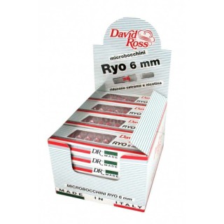 BOCCHINI RYO DAVID ROSS 24X10